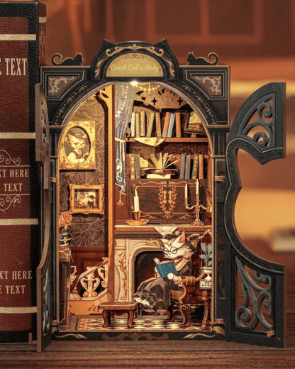 Book Nook Count Cat study