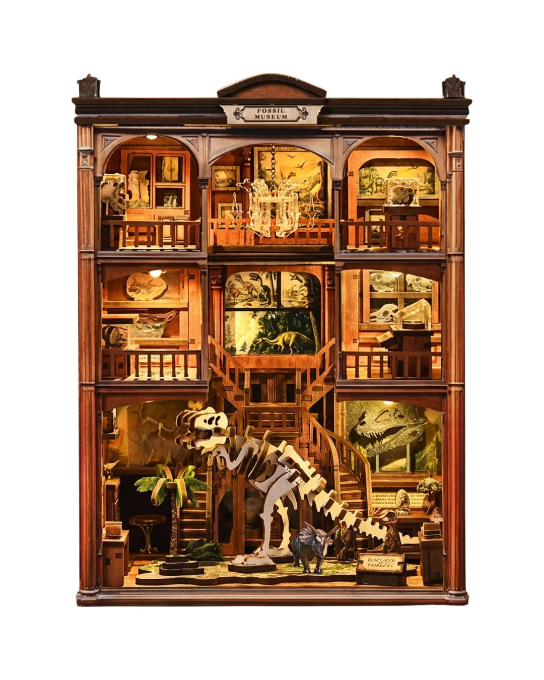 Book Nook Fossil Museum